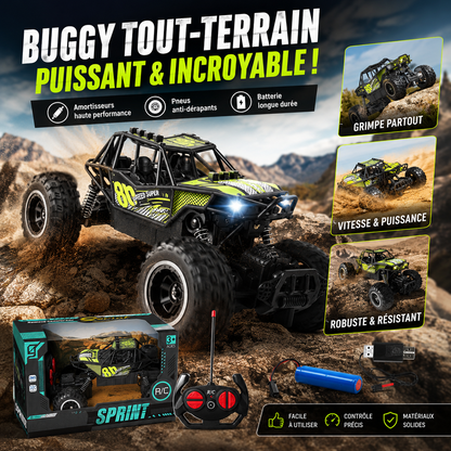 Voiture Télécommandé Tout-Terrain RC Crawler 2WD